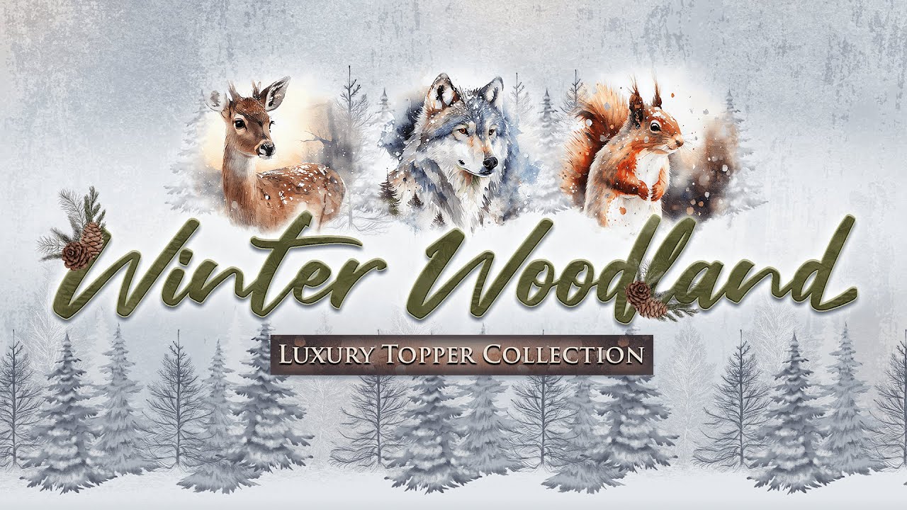 Live Launch - Winter Woodland