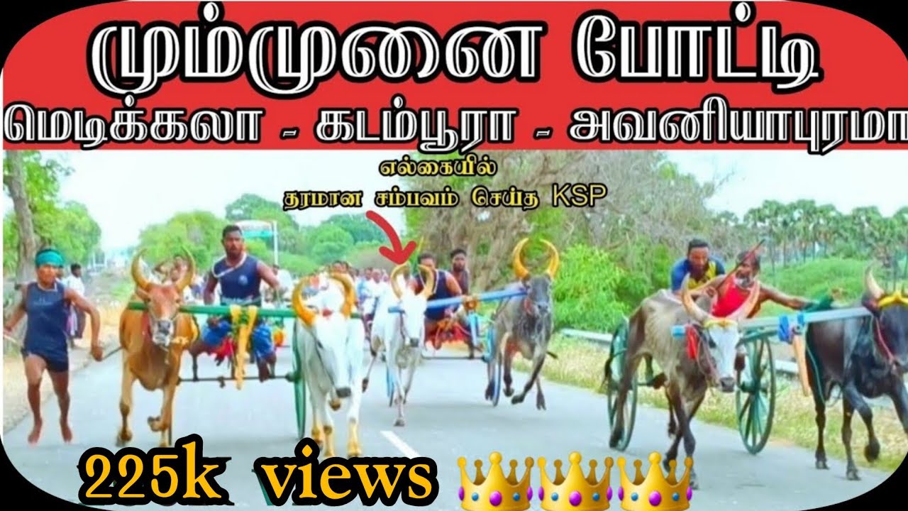 01. எட்டயபுரம் பெரியமாடு-10 தூத்துக்குடி மா @REKLA-RASIGAN 02-07-2023