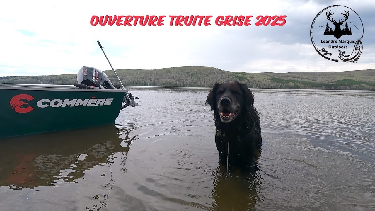 Ouverture Truite Grise 2025