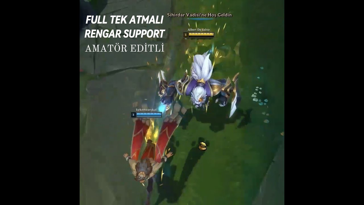 BOL TEKLEMELİ RENGAR SUPPORT