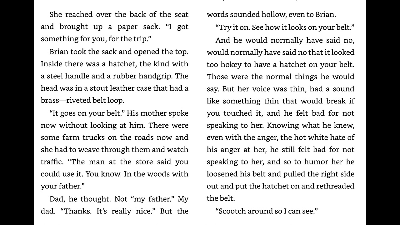 Hatchet:  Chapter 1