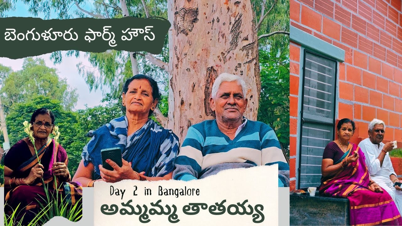 Jaggamma garu | అమ్మమ్మ తాతయ్య తో చింటూ Day 2 | Day 2 with Grandparents in Bangalore