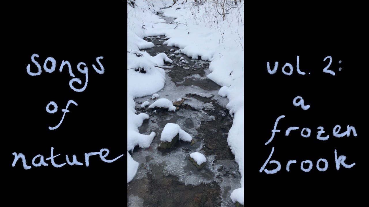 songs of nature vol. 2: a frozen brook
