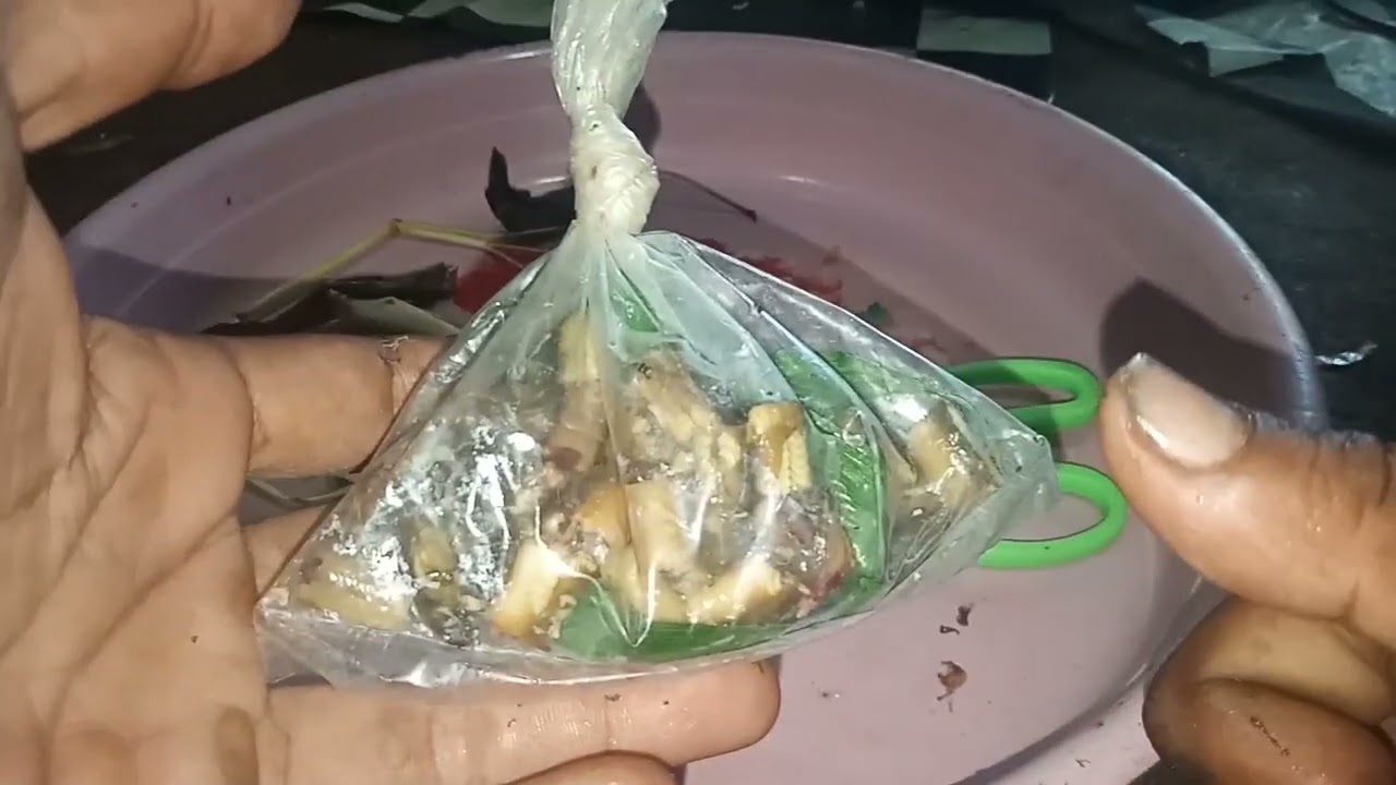 racikan umpan jitu belut kukus harian dan galatama lele || 100% gacor, langsung test di empang.