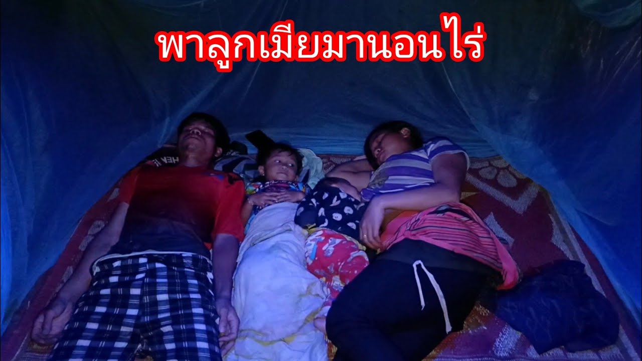 หลังจากสำเร็จการเกี่ยวข้าวไร่ พาลูกเมียมานอนไร่ เปลี่ยนบรรยากาศ ต้มเนื้อฟาน สำหรับอาหารเย็น-บ่าวยืง