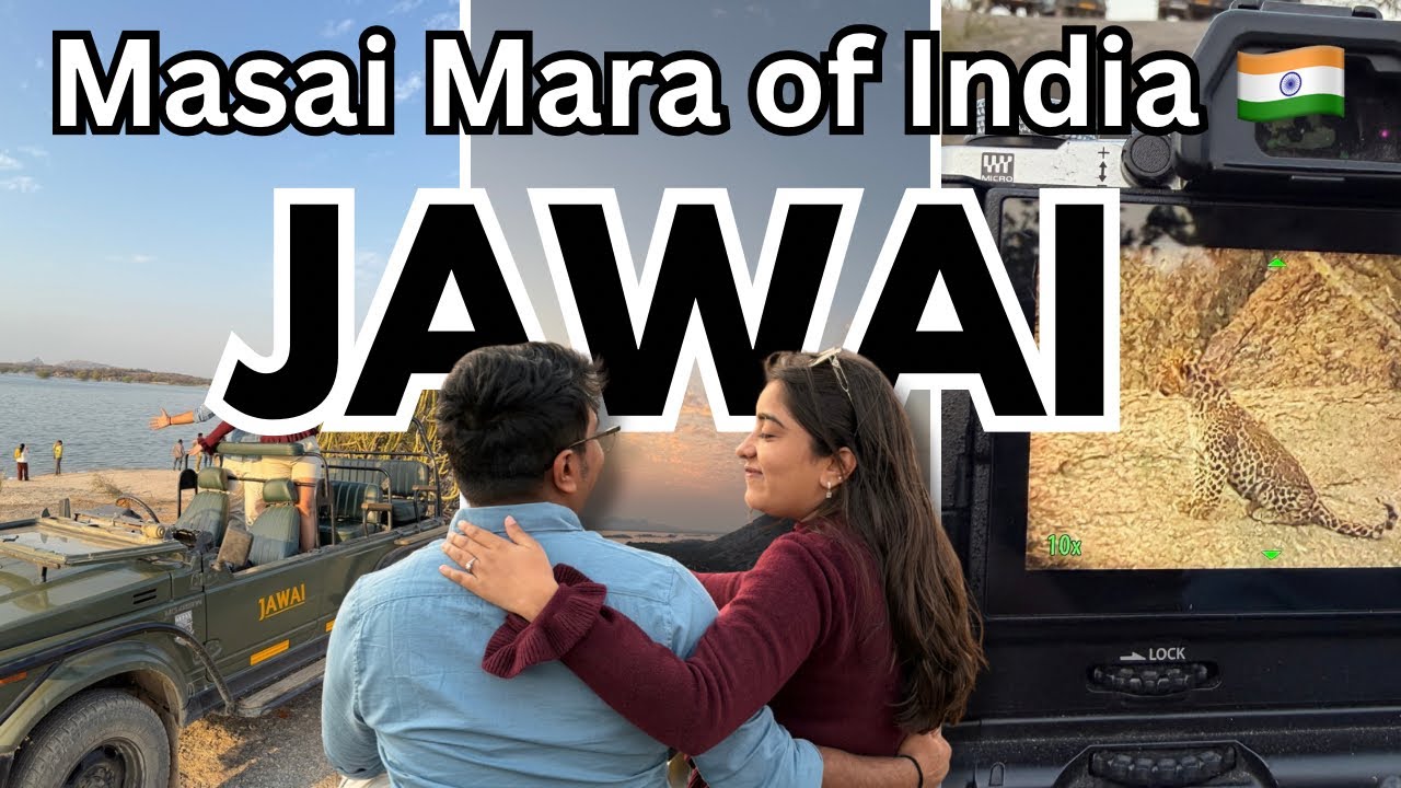 Jawai - Masai Mara of India at just ₹6,000/- pp | Praveg Caves Jawai | Leopard 🐆Safari | Rajasthan