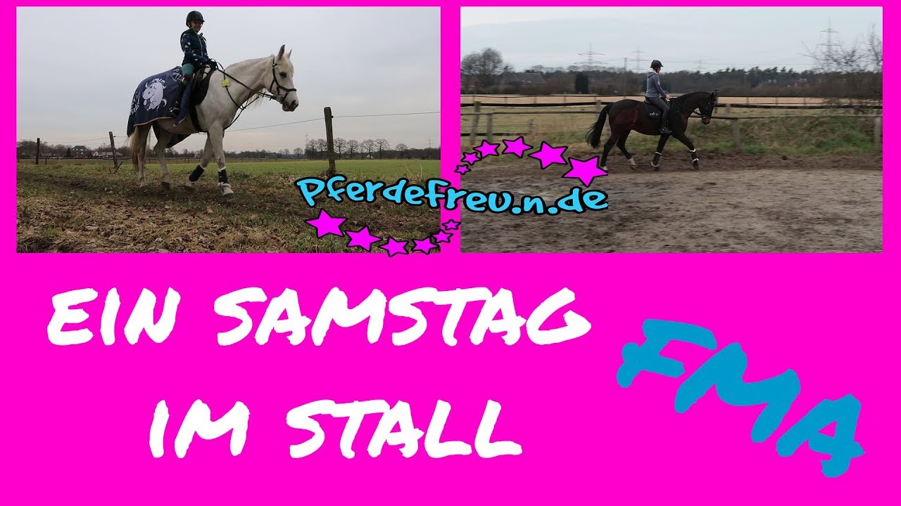 Ein Samstag im Stall [ Pferde Freu.n.de ] FMA