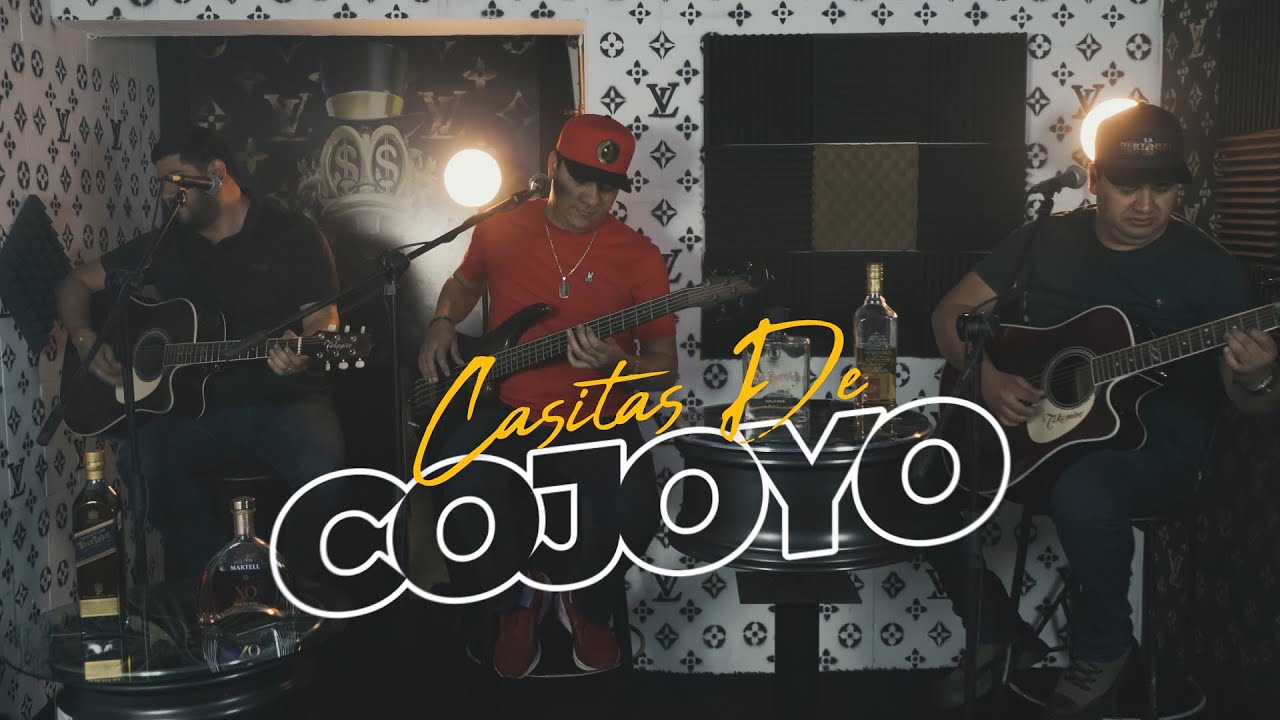 La Bertiniza De Culiacán - Casitas De Cojoyo (En Vivo)