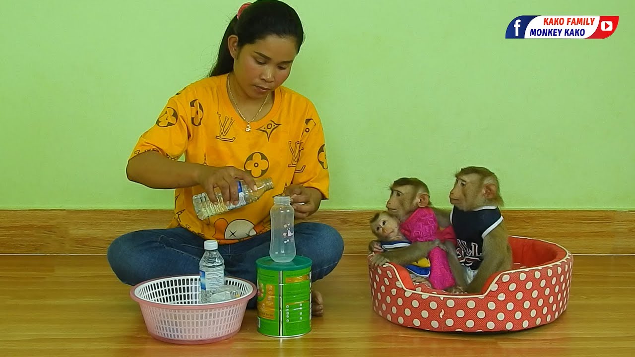 Adorable Kako With Luna Hug Tiny Olly Waiting Mom Prepare Milk