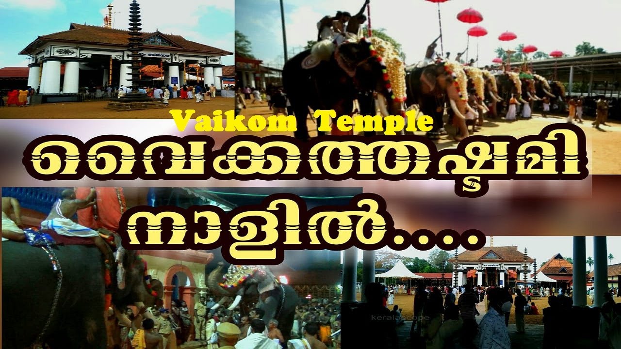 Vaikkathashtami l വൈക്കത്തഷ്ടമി നാളിൽ...l Vaikom Ashtami l Temples of Kerala