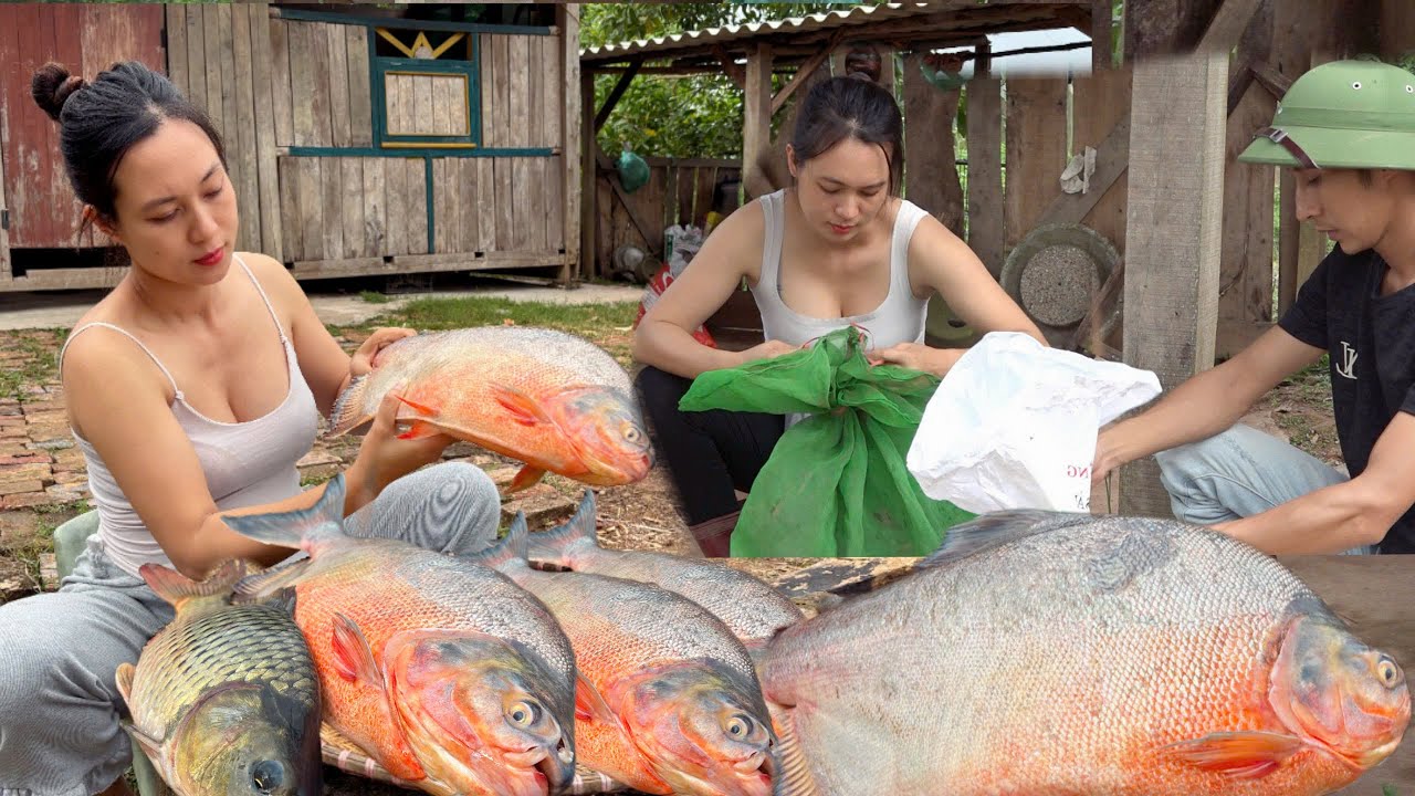 Rural Life: Selling Ducks And Pigs to Feed the Small Animals That are Cooked Alongside The Big Fish.