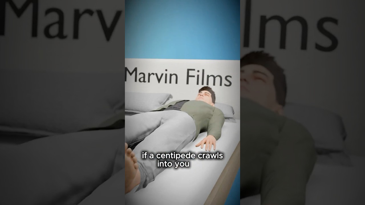 What If A Centipedes Goes To Your Ear?