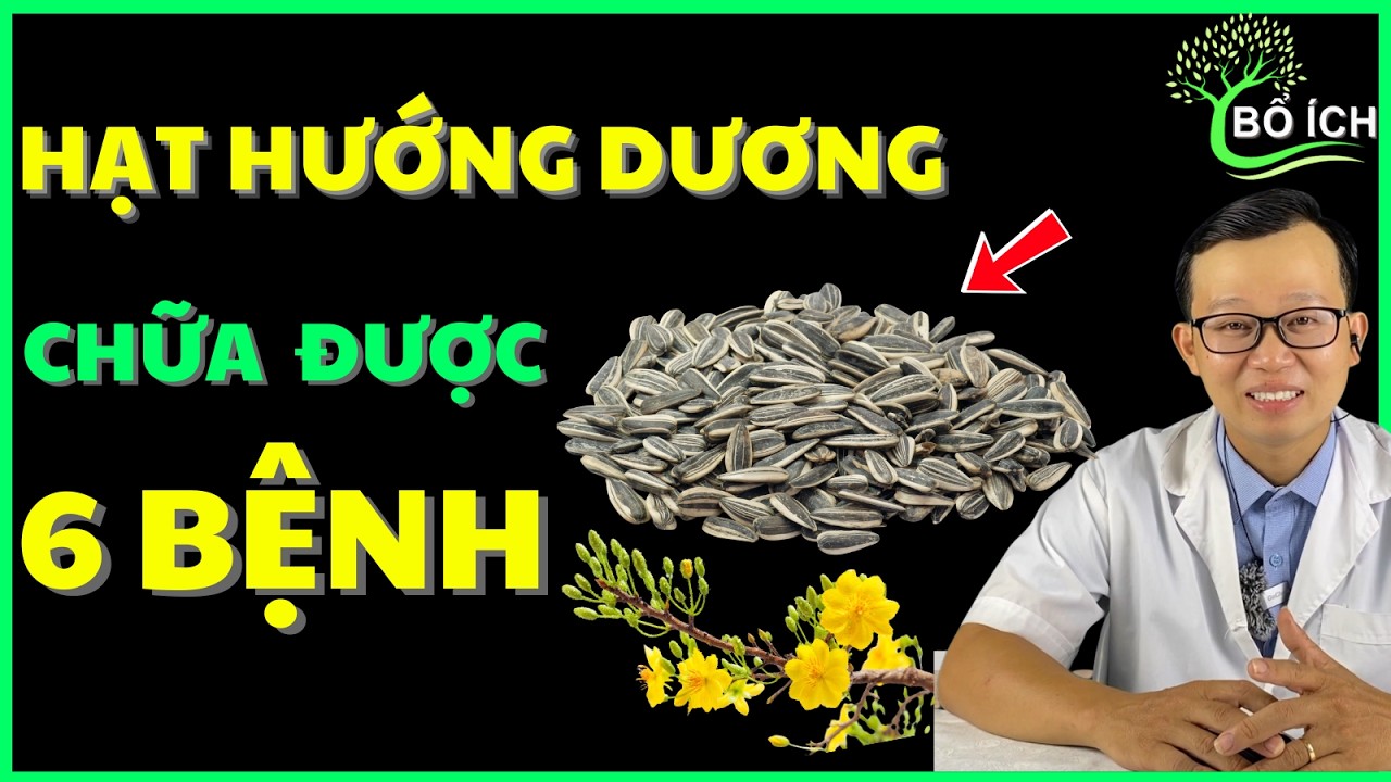 Tin Vui: 6 Lợi Ích Hạt Hướng Dương Chữa Được 6 Căn Bệnh Thường Gặp Nhất  – Kênh Sức Khoẻ Bổ Ích