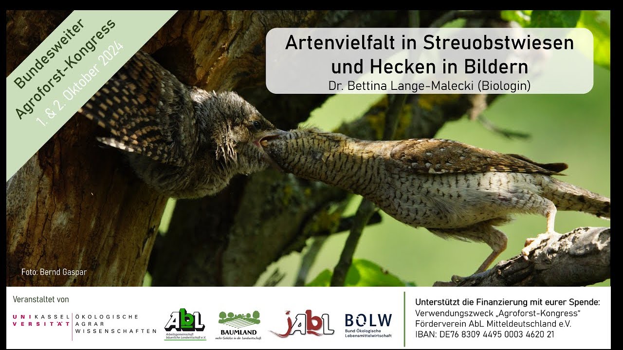 05 - Faszinierende Artenvielfalt in Streuobstwiesen und Hecken in Bilder, Agroforstkongress 2024