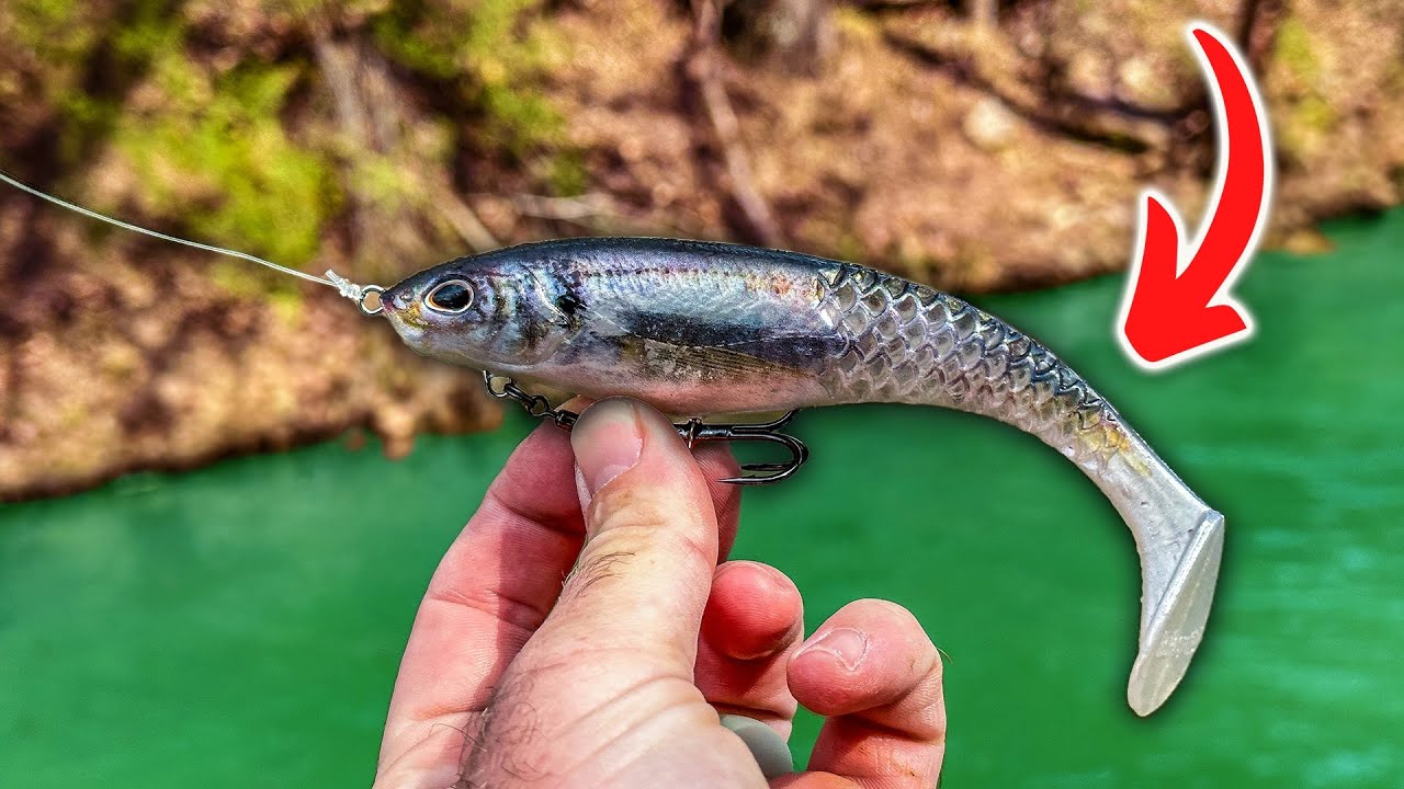 Эта приманка имеет ИДЕАЛЬНЫЙ смысл (Berkley Cull Shad)
