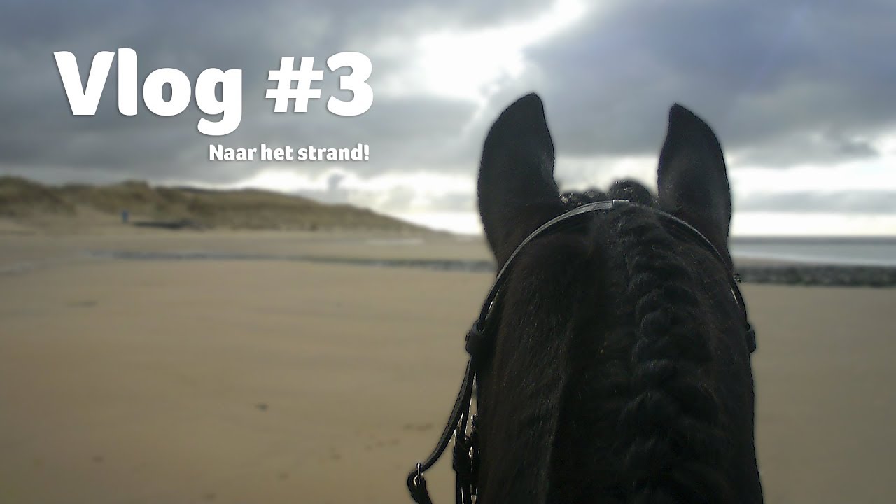 Racen op het strand! | VLOG #3 | Epplejeck