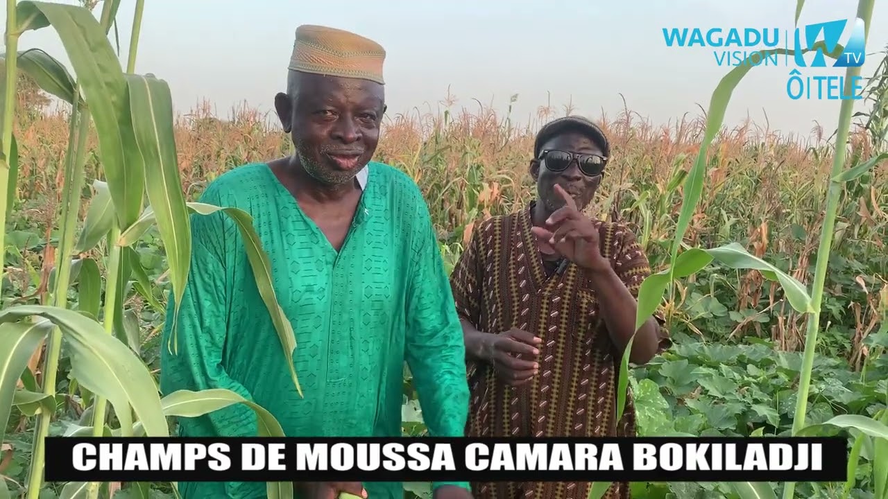 CHAMPS DE MOUSSA CAMARA