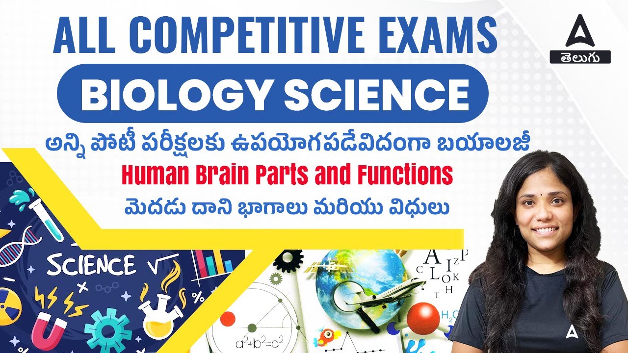 Most Expected Questions On Human Brain Parts and Functions From Biology In Telugu | Adda247 Telugu