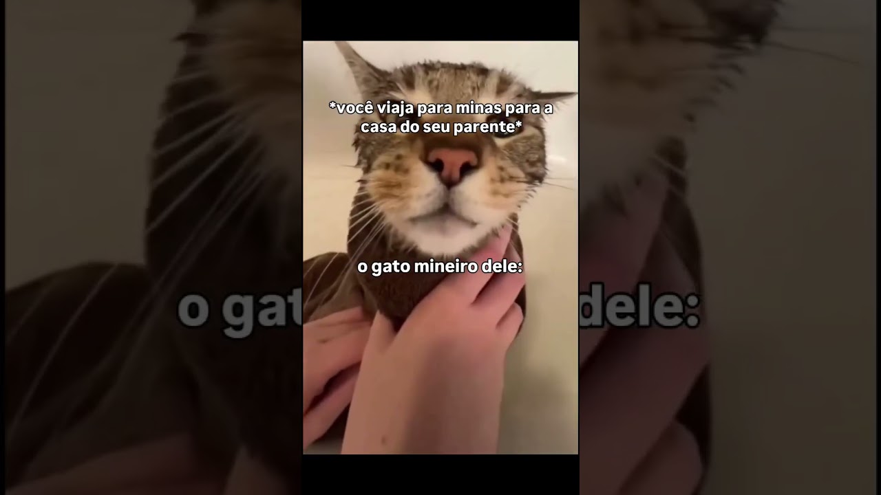 Gato Mineiro 🤠