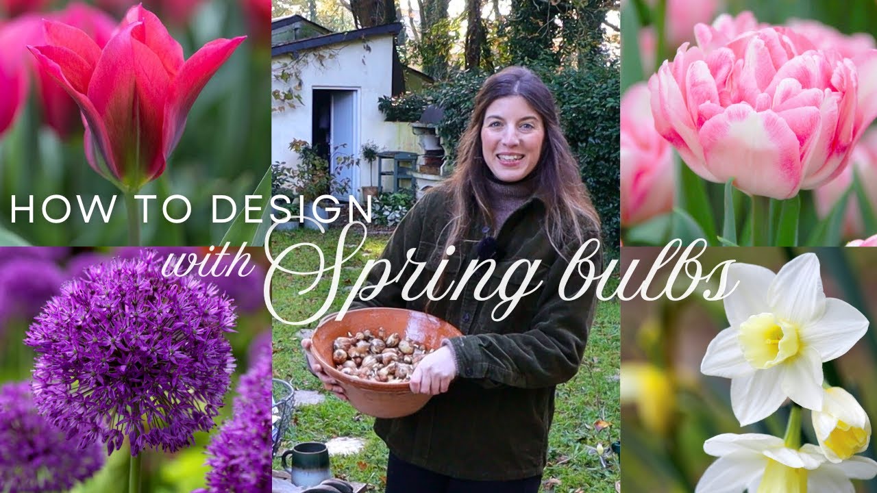 How to Create a Stunning Tulip Garden 🌷 Design Tips & Planting Styles To Suit Your Space