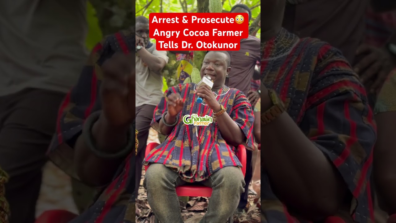 Bro 😳 This cocoa farmer is not joking about the cocoa price cut down. He confronted Dr. Otokunor 💪