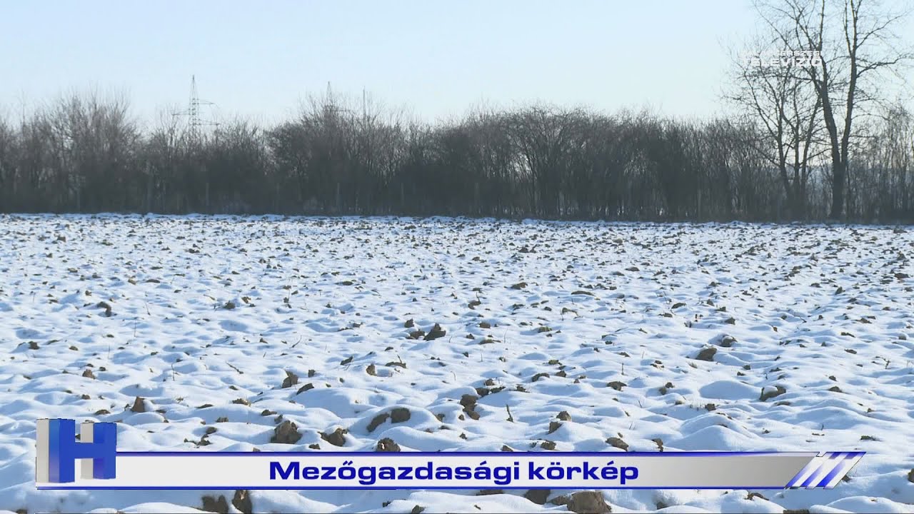 Mezőgazdasági körkép – ZTV Híradó 2026-01-20