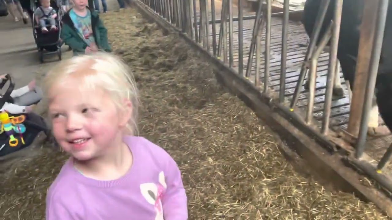 @Open Boerderij-dagen Campina in Zetten Gelderland.