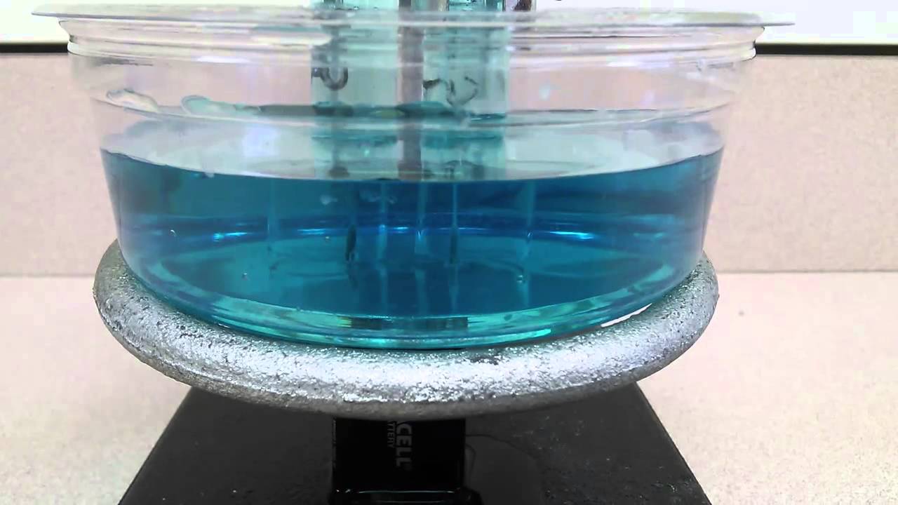 electrolysis of water