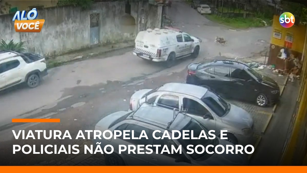 Viatura da PM atropela e mata duas cadelas em Manaus; policiais deixam local sem socorro | #AloVoce