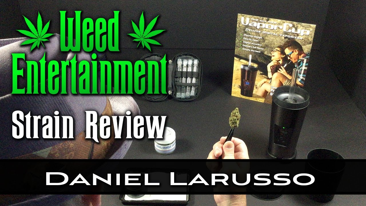 Daniel Larusso - Hybrid - by Ball Family Farms - Strain Review - from Dr Greenthumbs, Sylmar Ca
