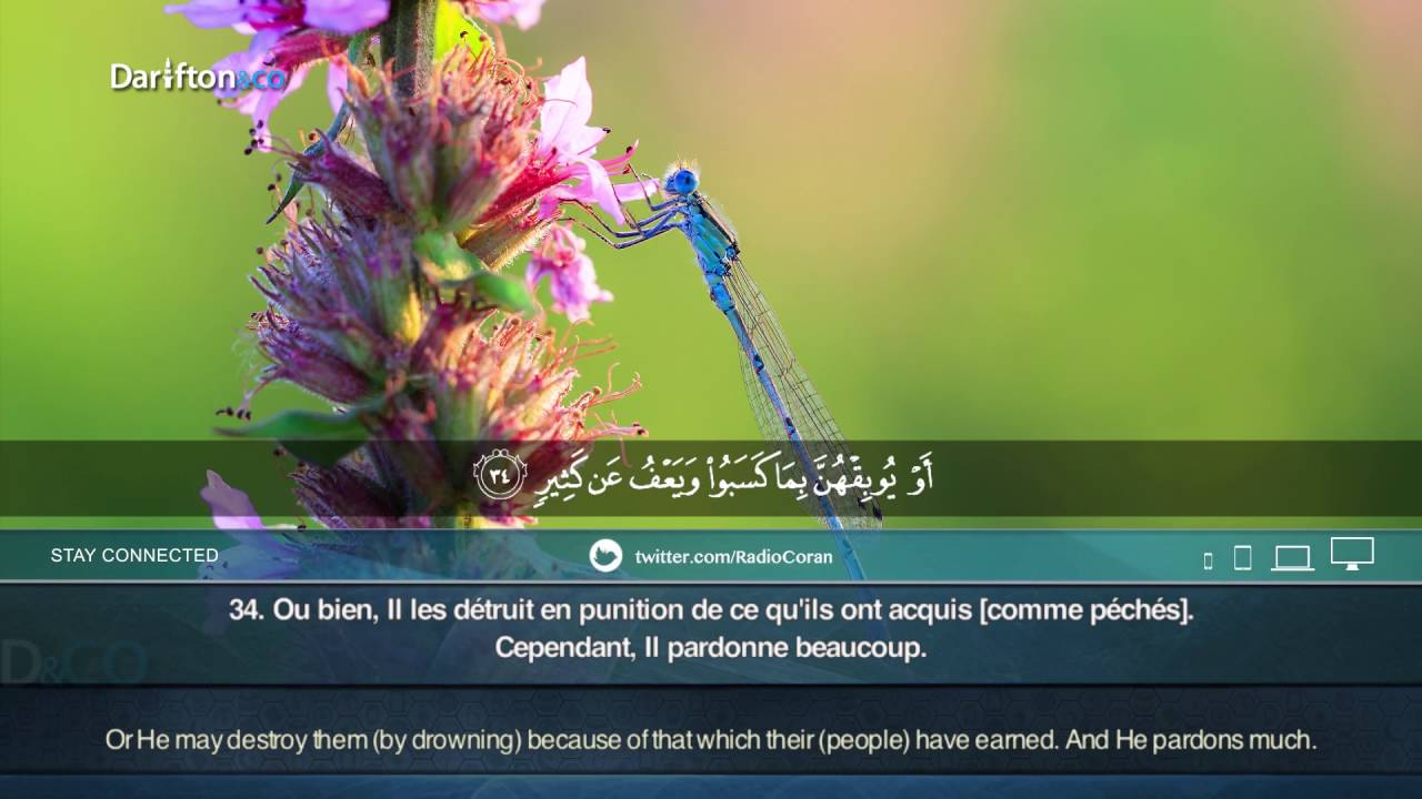 Sourate Achoura - Muda Hizbur  سورة الشورى  مودا حزبور