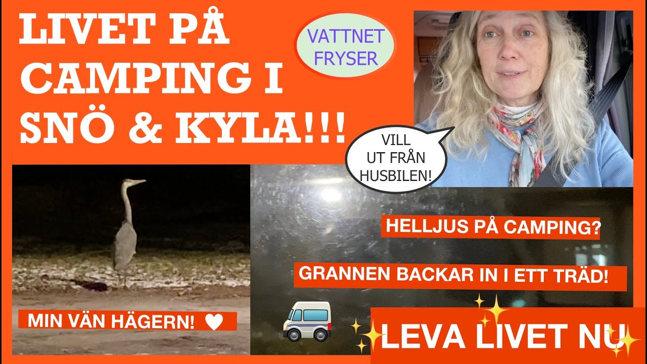 FRYSER I HUSBILEN!! - fIlm nr 333
