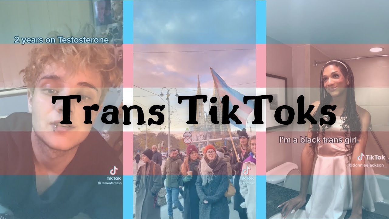 trans (including non-binary) tiktoks for TDoV!
