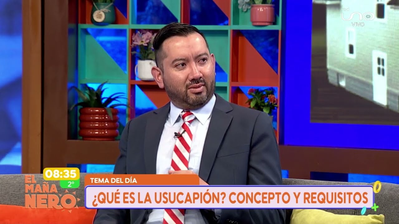 ASESOR&Iacute;A LEGAL: USUCAPI&Oacute;N (EL MA&Ntilde;ANERO LPZ)