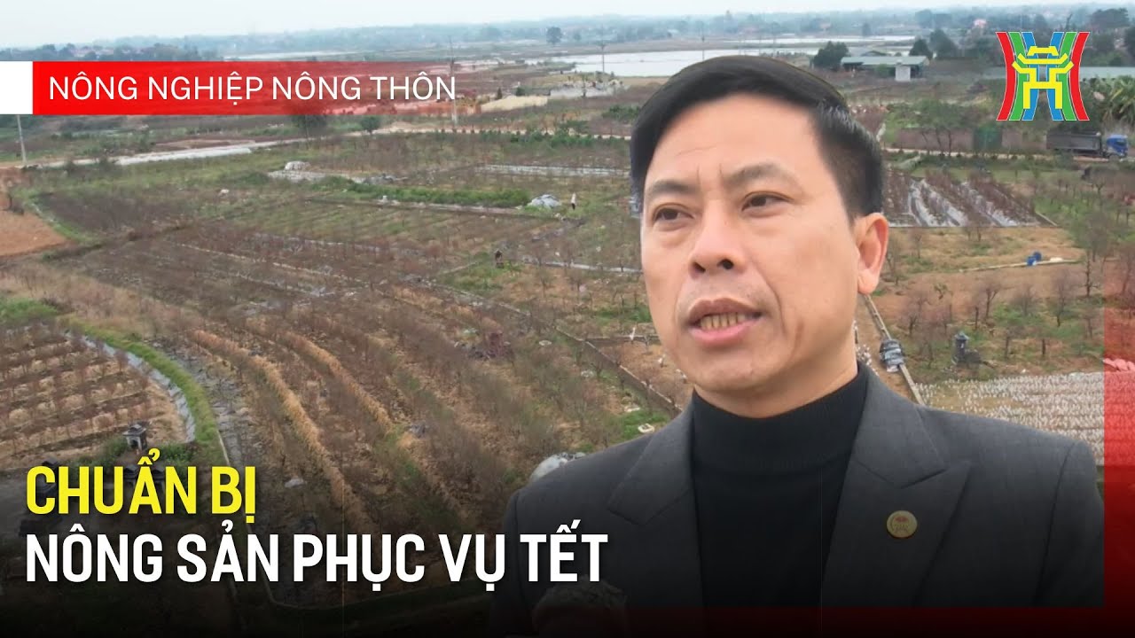 Chuẩn bị nông sản phục vụ Tết | Nông nghiệp nông thôn