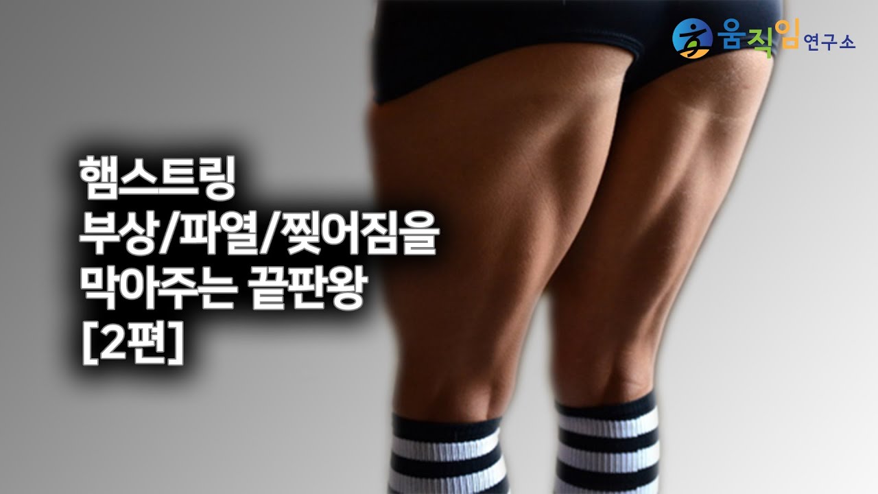 햄스트링 강화운동에 무조건 1번타자로 추천합니다 [2편]