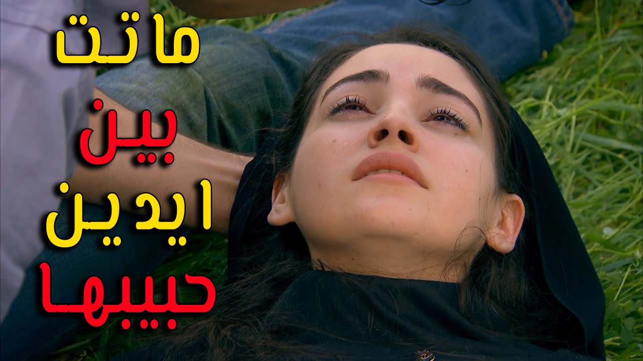 هربت مع حبيبها وأخوها عم يحلقها بدو يقتلها - زهرة القصر