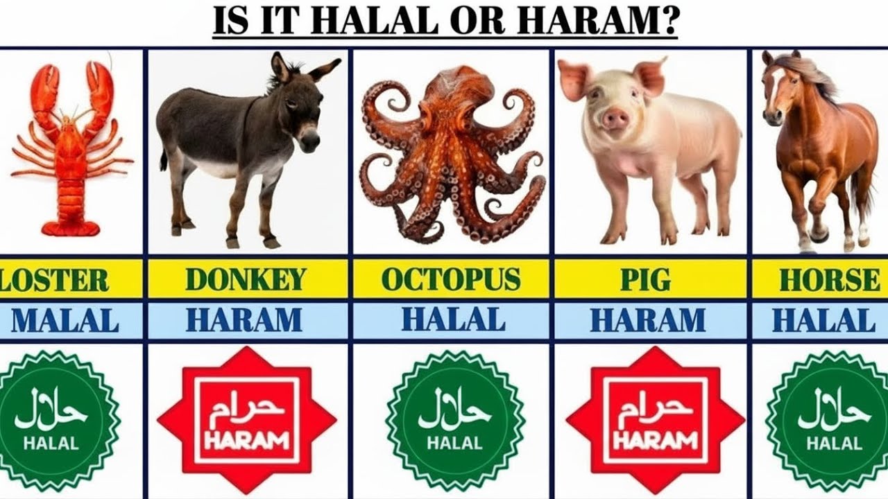 List Of halal And Haram Animal Meat In Islam