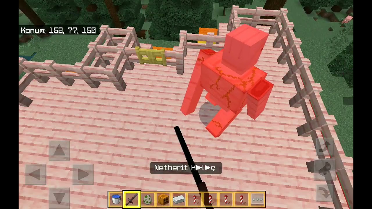 Minectaft videom
