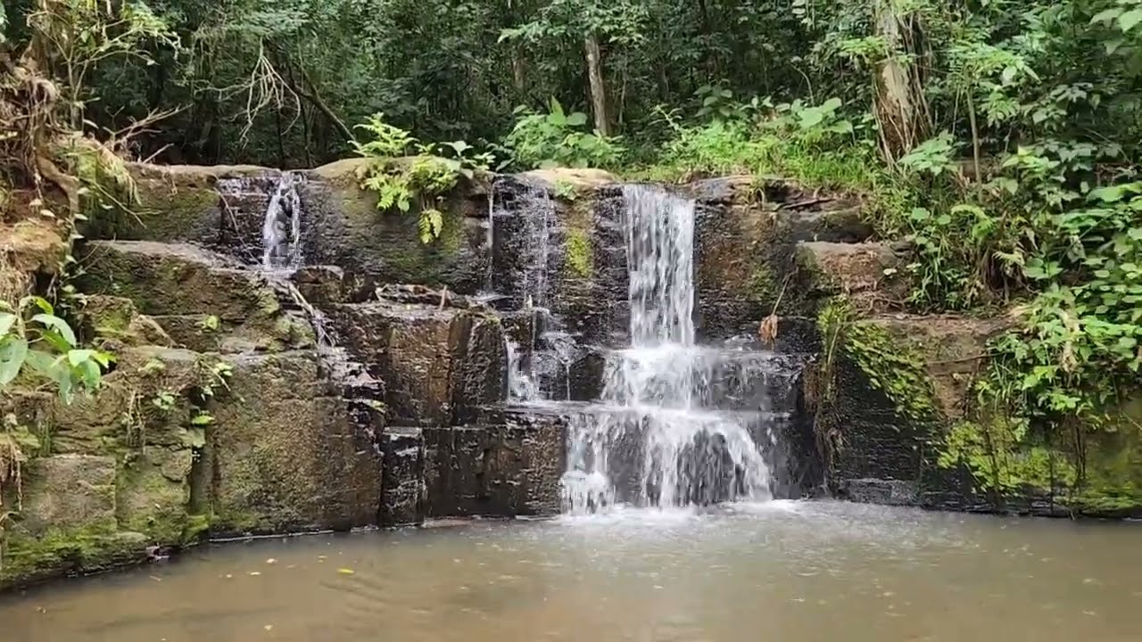 Vendo 44.000m2, baixou V R$ 380.000,00, escriturado, registrado, Município Salto do Itararé, Paraná.