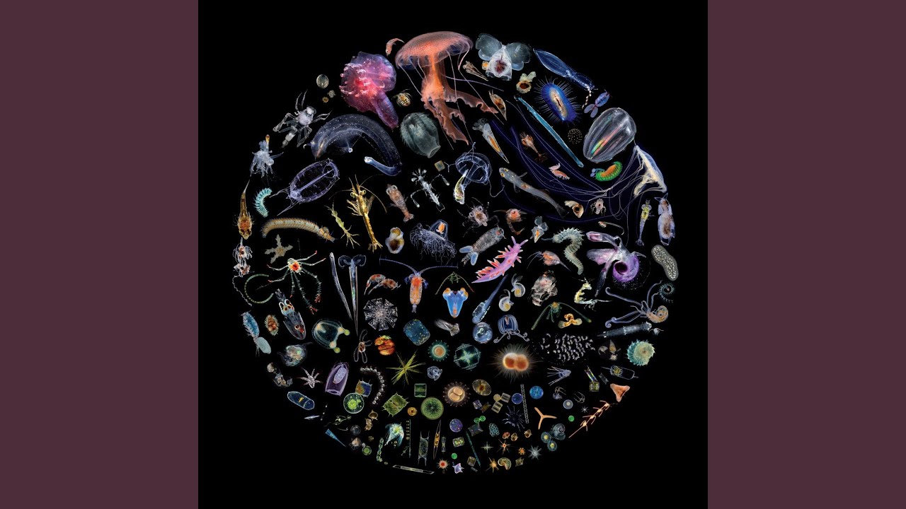 One Million Miles Away (From the Illusionary Movements of Geraldine & Nazu)
