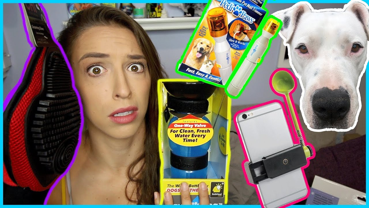 Testing Dog Gadgets!