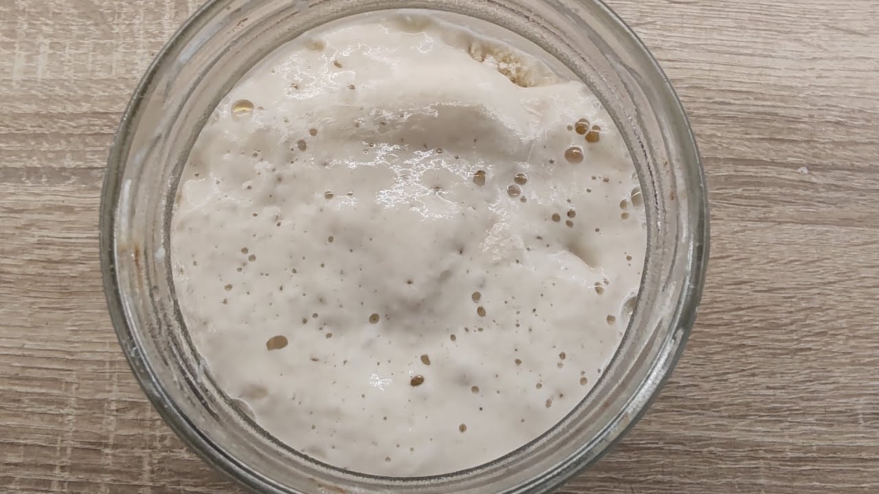 Coace cu mine 🍞 | Maia de la 0 ¦ rețetă de lipii din discard | rețetă de pâine artizanală 