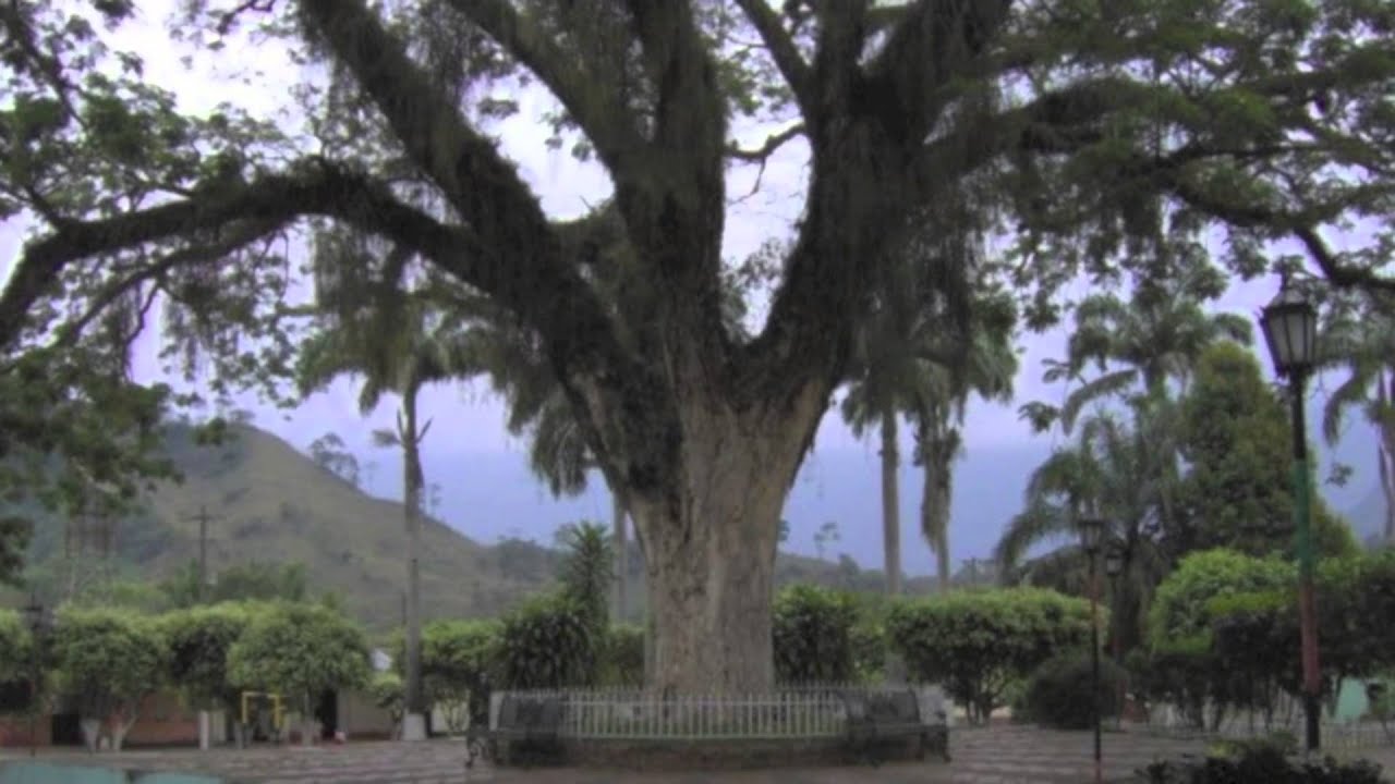 El Hijo del Pueblo (Para mi Pueblo de las Mercedes) - Los Principes