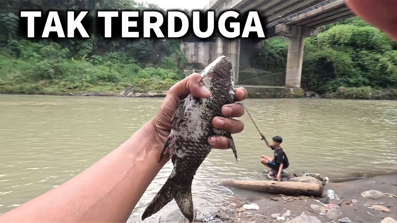 MC 12 STRIKE | STRIKE TAK TERDUGA  KIRA  #mancing #fishing #sungai #progo