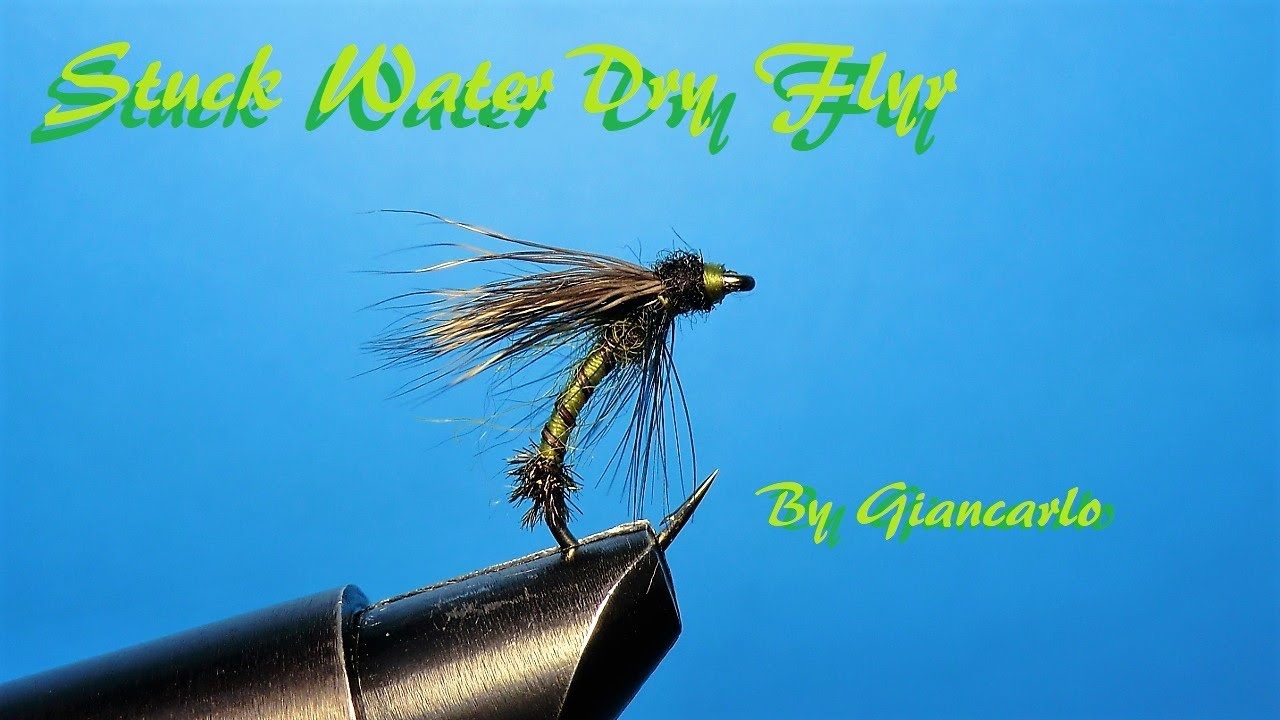 STUCK DRY FLY By Giancarlo
