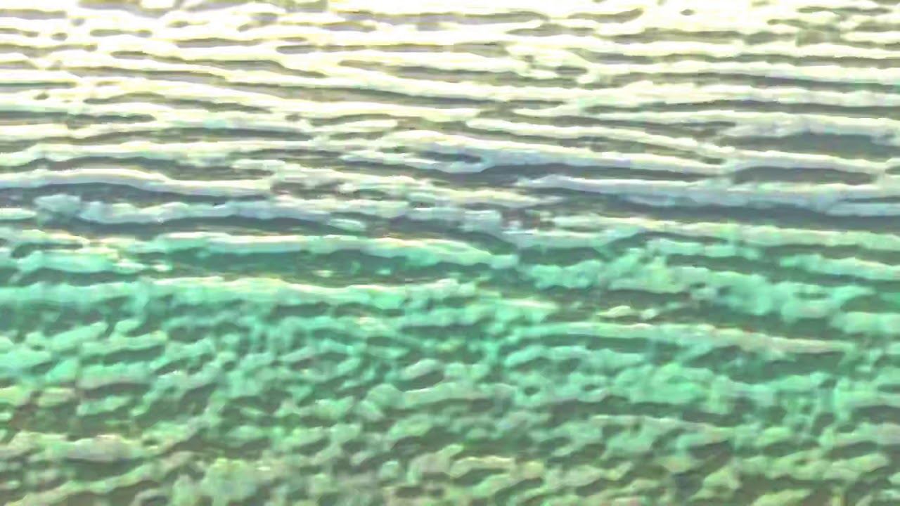 صياد السمك والرزق على الله