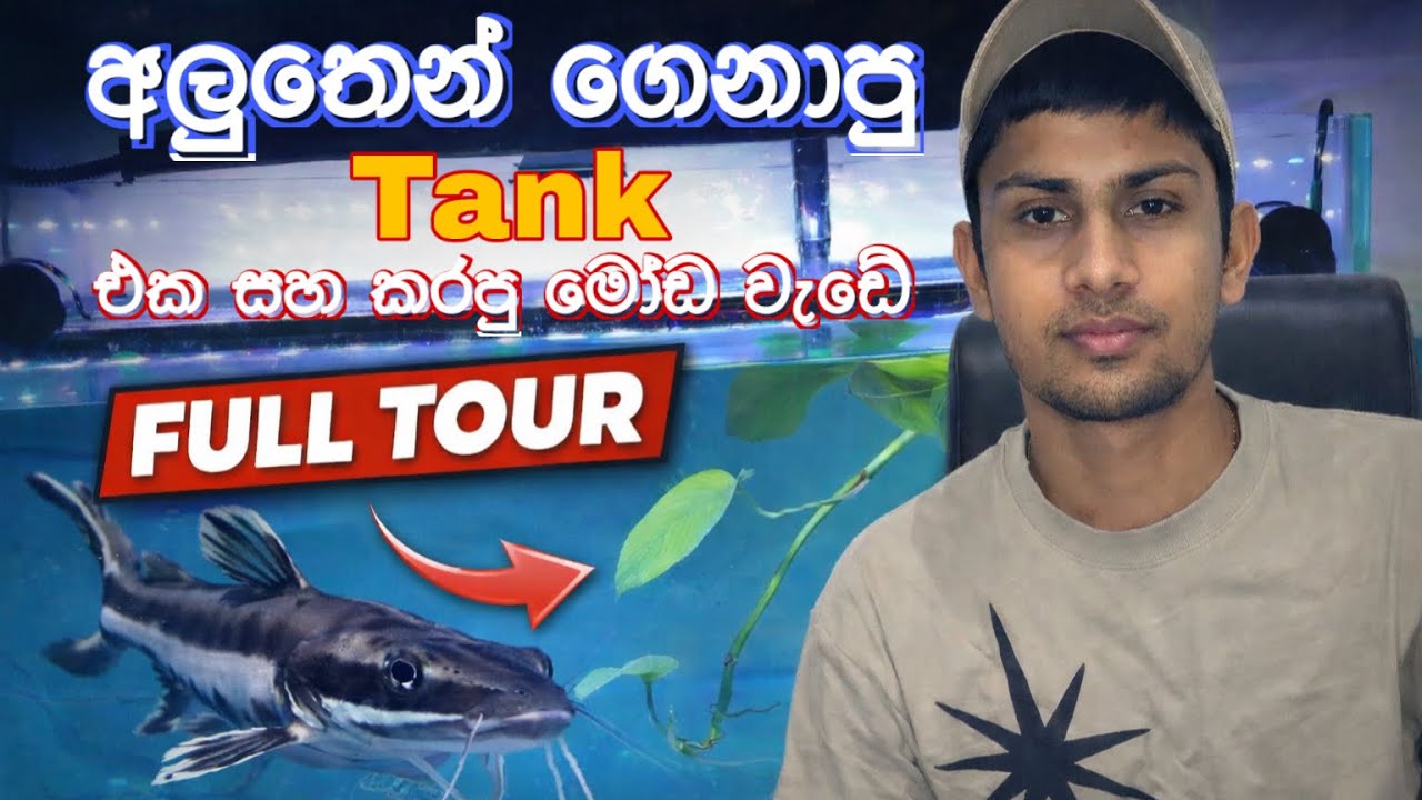 අලුතෙන් ගෙනාපු tank එක සහ කරපු මෝඩ වැඩේ