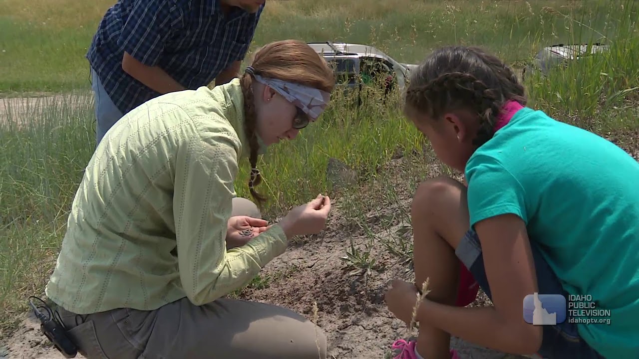 Science Trek: Dinosaurs: Idaho Dinosaurs