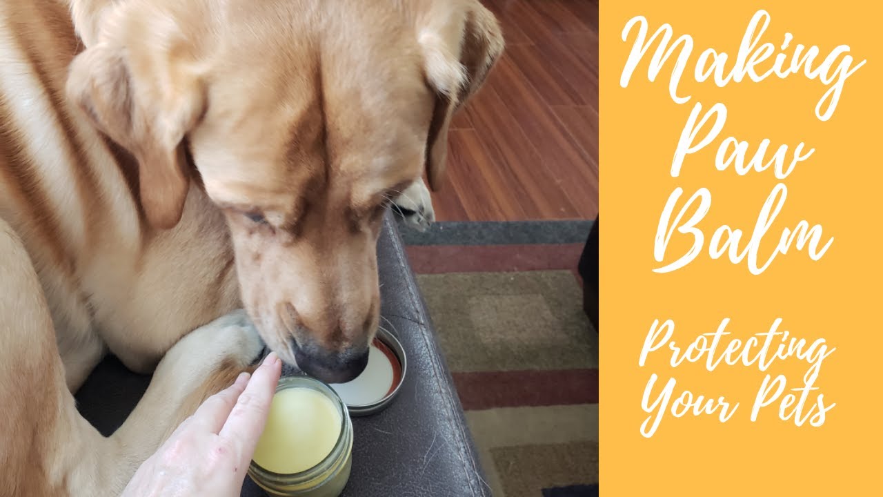 Making Paw Balm | Protection For Your Pets